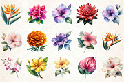 Hawaiian Flowers Watercolor Clipart, an Illustration by Rose Art (Thumbnail 2 of 7)