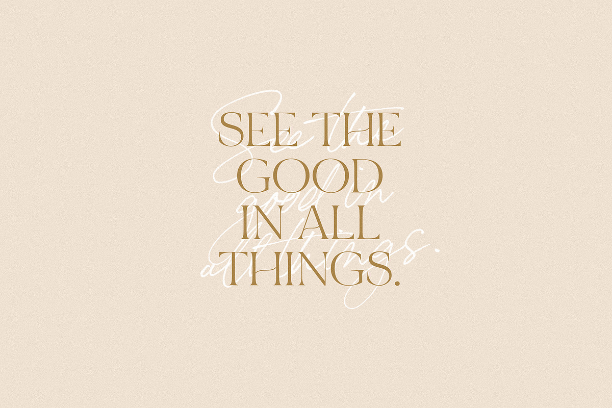 Bon Vivant Collection, a Serif Font by Nicky Laatz (Photo 31 of 44)