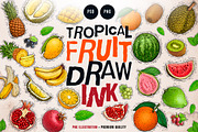 Tropical Fruit Illustration, an Object Graphic by RMPL.std (Thumbnail 1 of 4)