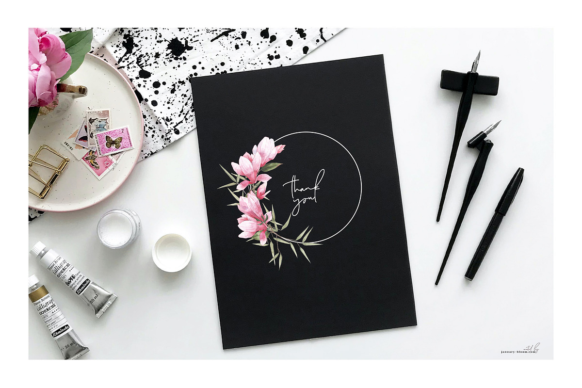 Magnolia & Cranes | Tropical Japan, an Illustration by January Bloom (Photo 17 of 17)