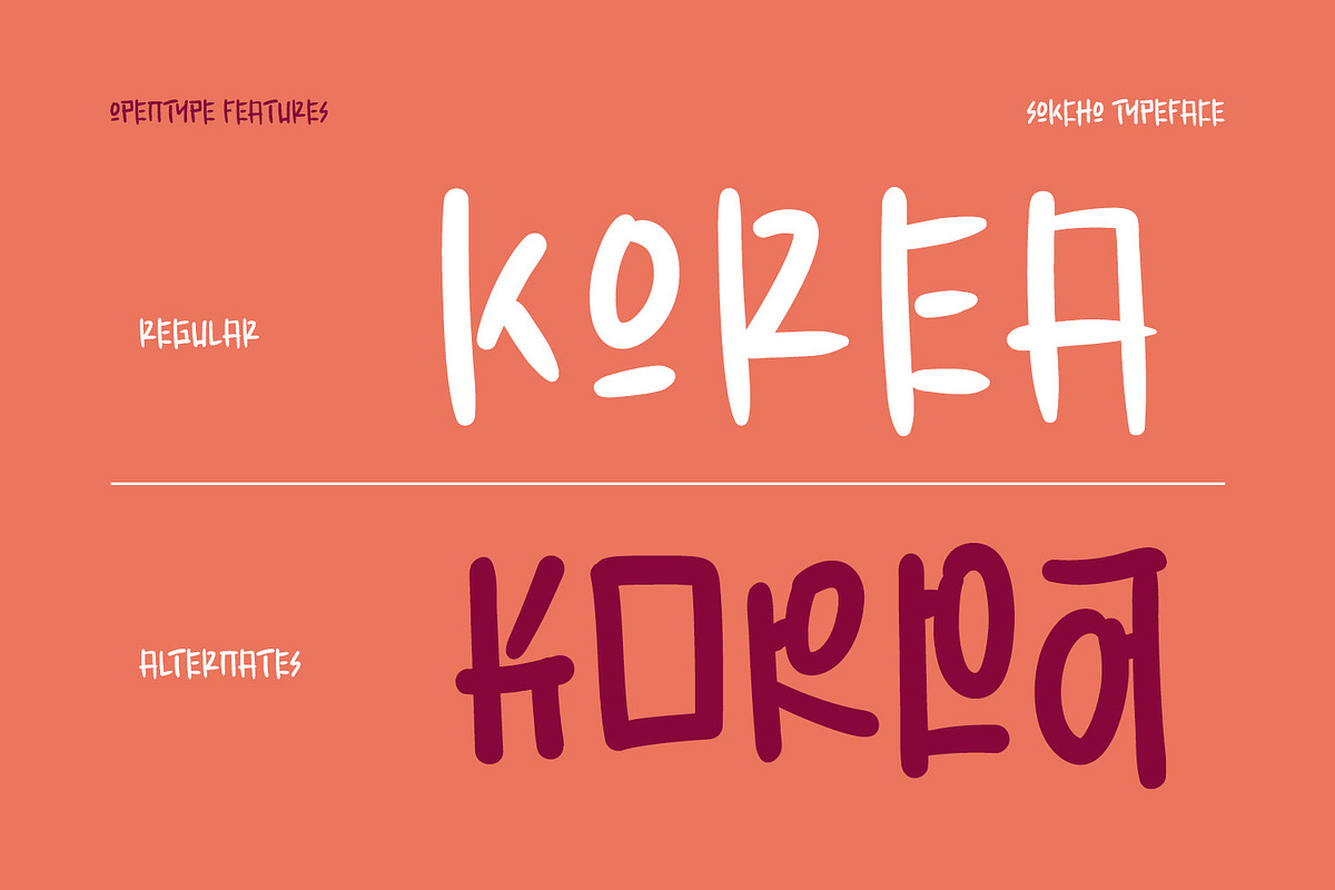 Sokcho, a Symbol Font by Ditatype (Photo 8 of 11)