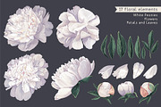 White Realistic Peonies Set, a Decorative Illustration by MarynaPetrovska (Thumbnail 3 of 16)
