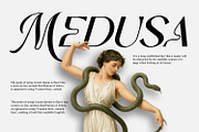 REHAN Elegant Font duo Sans Script, a Script Font by WhymoreArt (Thumbnail 2 of 11)