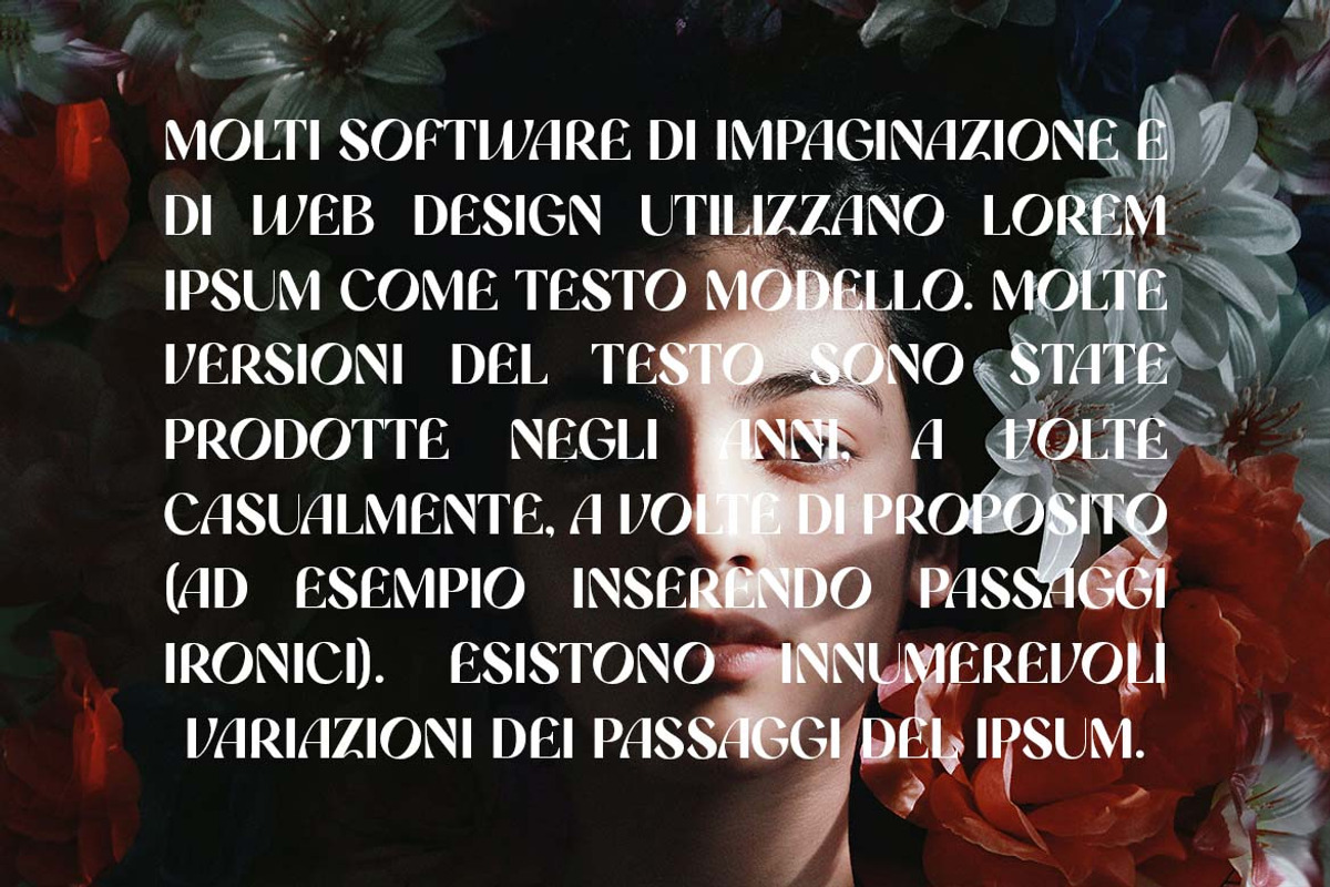 Romanost Modern Display Font, a Sans Serif Font by UICreative (Photo 2 of 13)
