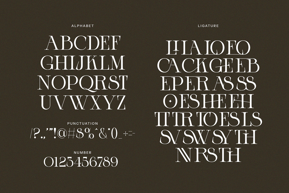 Lovero Modern Serif Font, a Serif Font by Alfinart (Photo 8 of 8)