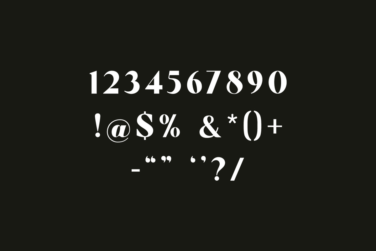 Aluvion Display Modern Serif Font, a Serif Font by UICreative (Photo 8 of 12)
