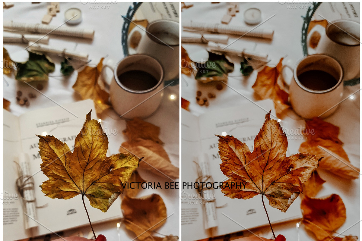 30  MOODY AUTUMN PRESETS, a Preset Add-On by Victoria Bee Presets (Photo 6 of 14)