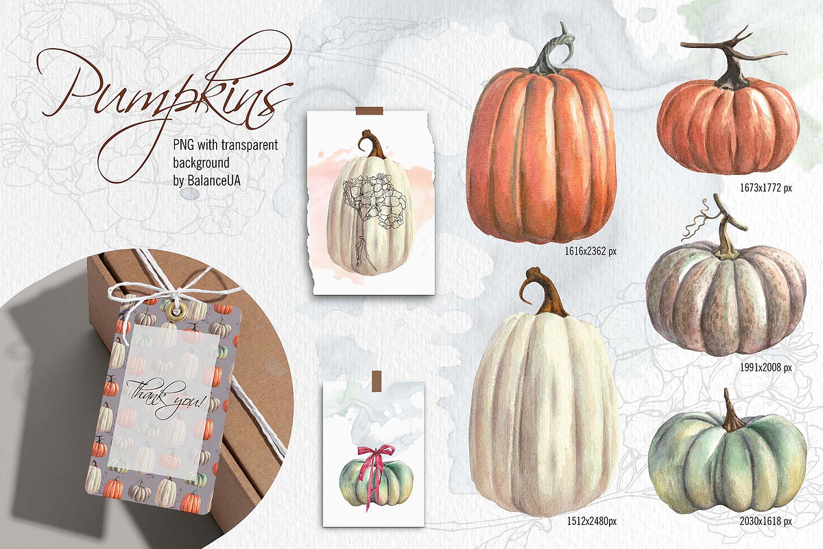 Thanksgiving Watercolor Clipart, an Illustration by BalanceUA (Photo 7 of 13)