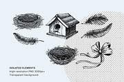 Vintage Spring Botanical Collection, a Seasonal Illustration by Yevheniia (Thumbnail 5 of 14)