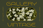 Akalime Stamp, a Sans Serif Font by Craft Supply Co. (Thumbnail 3 of 8)