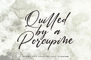 Saltacrus//Chic Signature Font, a Script Font by HanzelSpace Studio (Thumbnail 8 of 10)