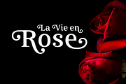 Mireille Medium, a Serif Font by TypeThis!Studio (Thumbnail 3 of 4)