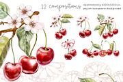 Cherry Romance Watercolor Collection, a Decorative Illustration by Shabbypie (Thumbnail 3 of 5)