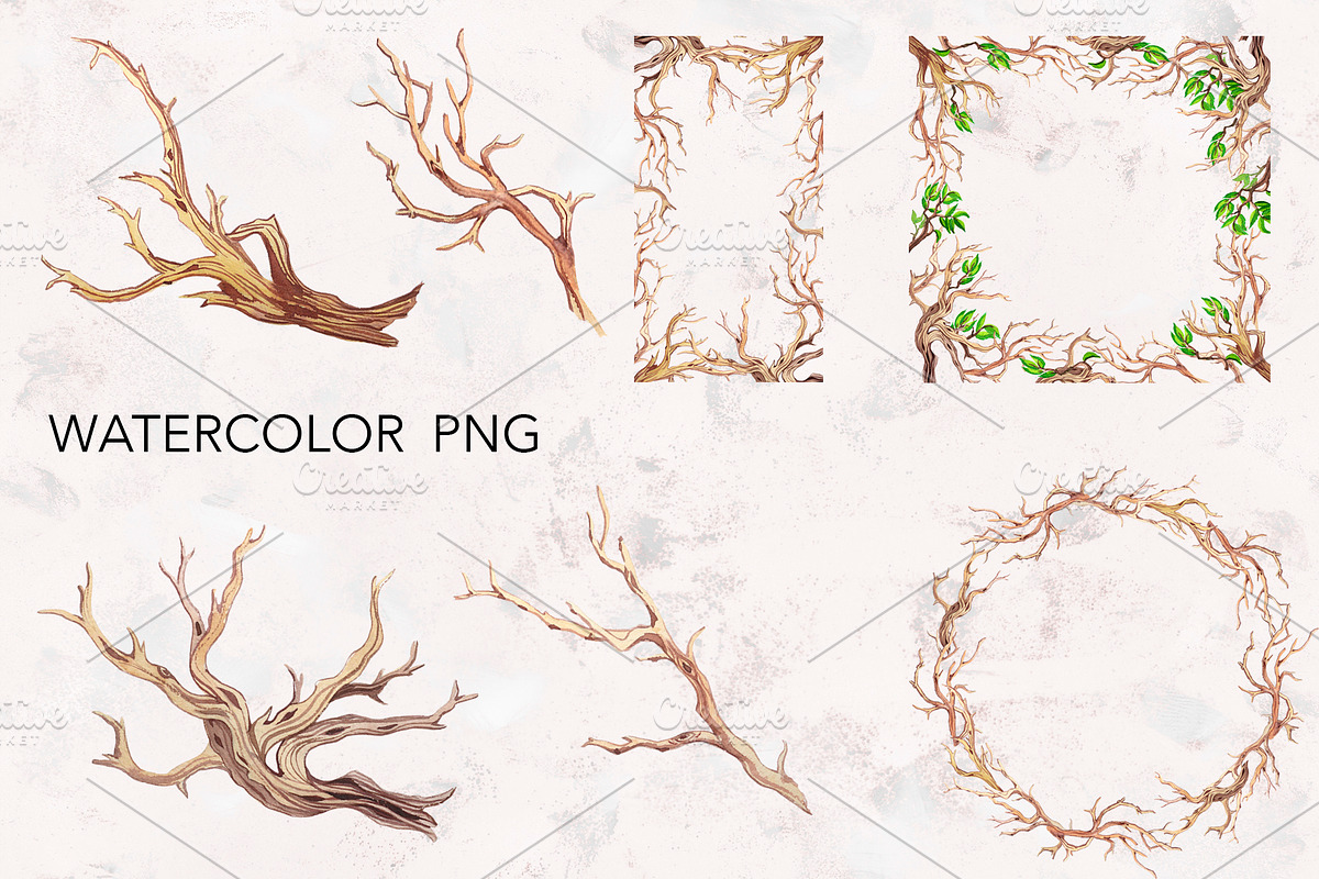 Watercolor forest birds., an Illustration by lilisavelieva (Photo 5 of 5)