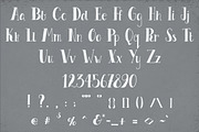 Le Petit Parisien Font, a Serif Font by The Pen and Brush (Thumbnail 2 of 5)
