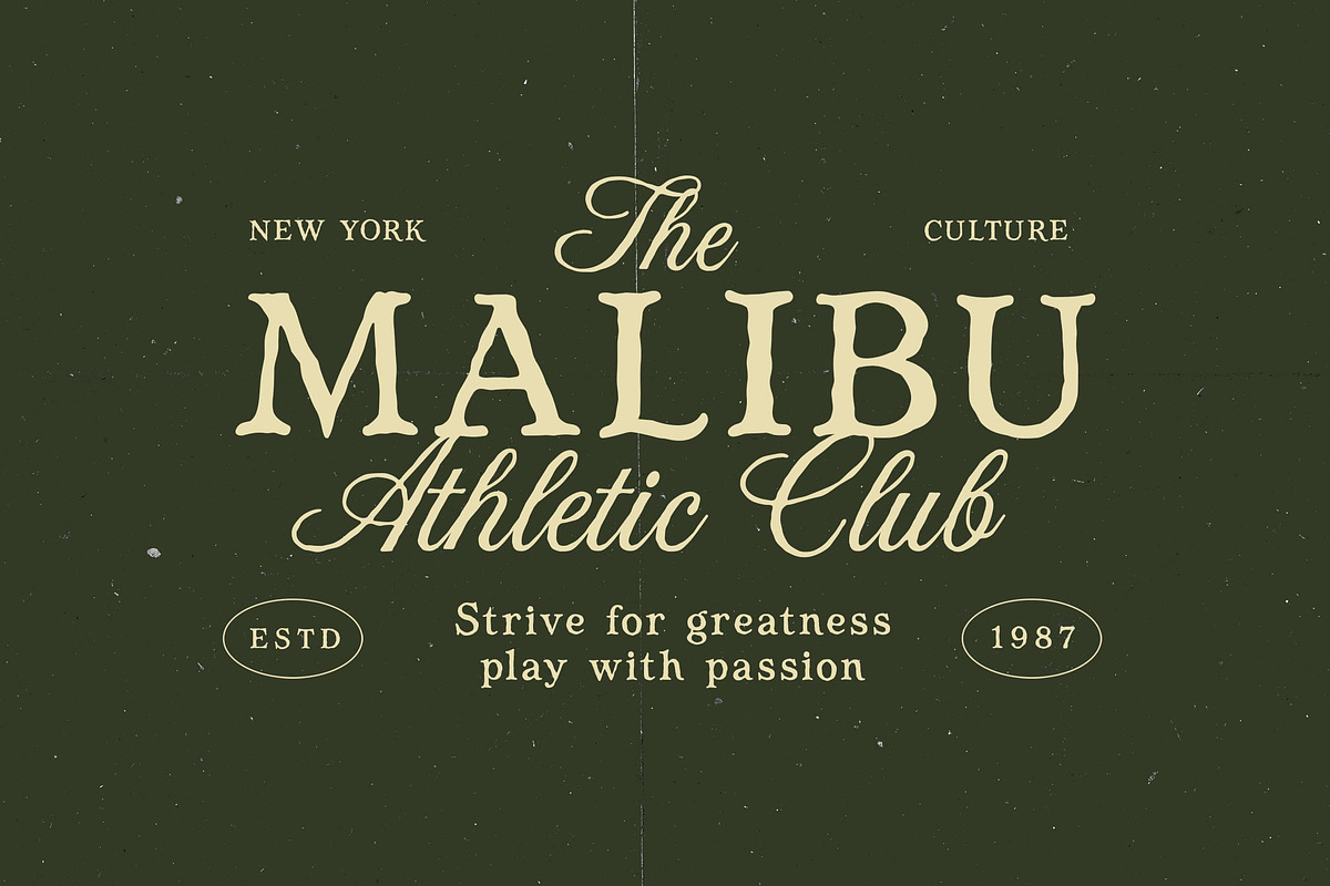 Bonfield – Modern Vintage Duo Font, a Serif Font by Honestype (Photo 2 of 12)