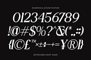 The Shuffle - Retro Serif Font, a Serif Font by Flawless And Co (Thumbnail 8 of 10)