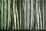 ORGANIC CERAMIC LIGHTROOM PRESETS, a Preset Add-On by Nes Design Co (Thumbnail 9 of 10)