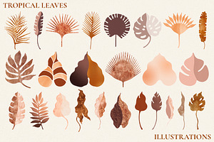 Tropical Leaves And Abstract Shapes