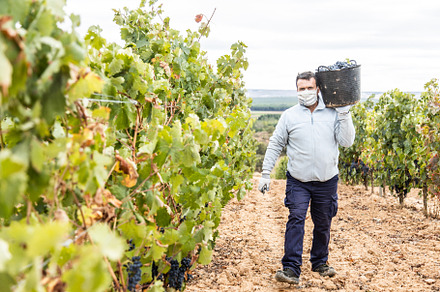 Harvesting works containing horizontal, males, and men