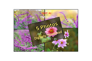 Pink Cosmos Flower Photo Bundle – 5, a Nature Photo by Silent Nature