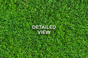 20 Seamless Grass Texture Pack