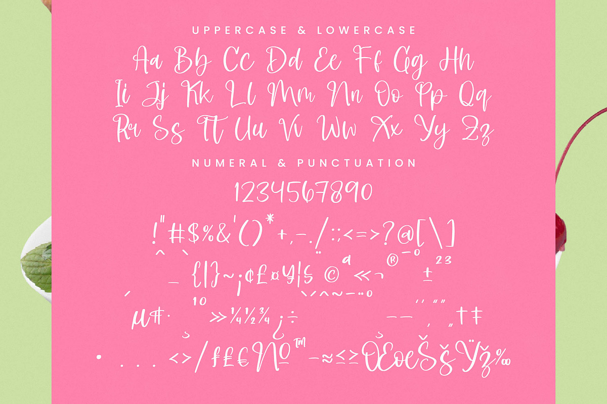 Shelter Melody Handwritten Script, a Script Font by stylishtype.co (Photo 18 of 20)