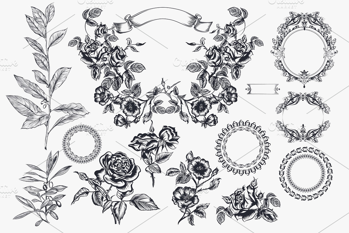 Vector wreath and frames, an Object Graphic by FleurArt