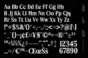 Choarll Modern Serif Display, a Serif Font by timelesstype.co (Thumbnail 19 of 20)