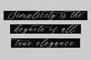 Saltngos Modern Calligraphy, a Script Font by Letterena Studios Script (Thumbnail 2 of 15)