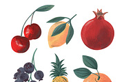Fruits Acrylic/Gouache Set, a Food Illustration by Anny (Thumbnail 3 of 5)
