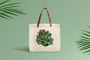 Vector succulents collection, an Illustration by AV Design (Thumbnail 3 of 7)