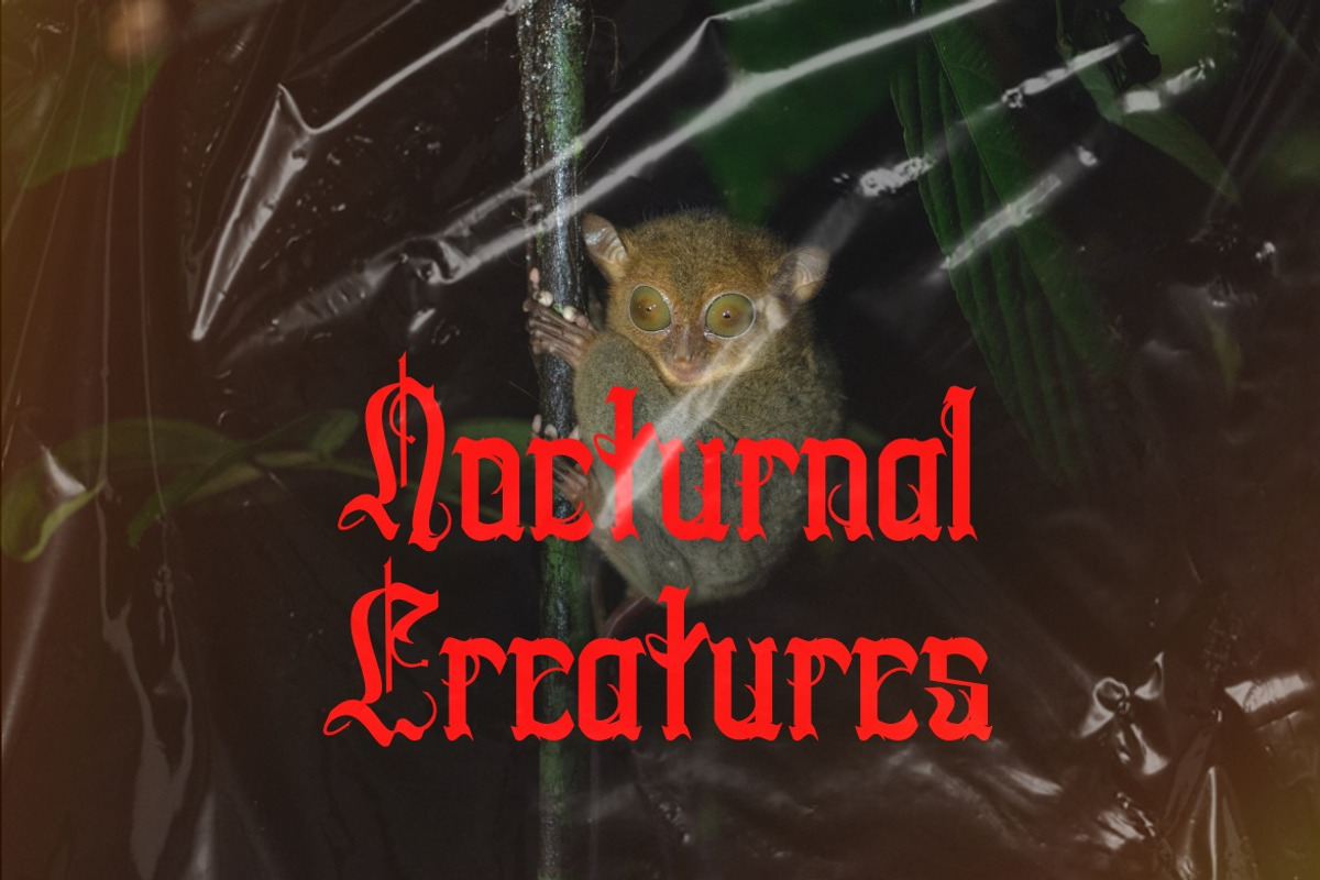 Swords Clover - Modern Blackletter, a Blackletter Font by Dhabee (Photo 14 of 15)