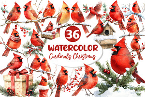 Red Cardinals Christmas Sublimation, an Illustration by Dream Creation
