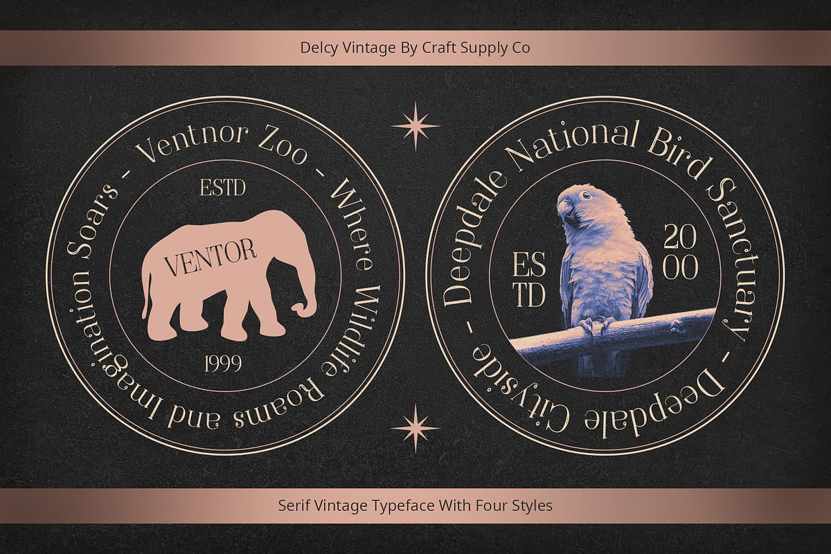 Delcy Vintage, a Serif Font by Craft Supply Co. (Photo 6 of 8)