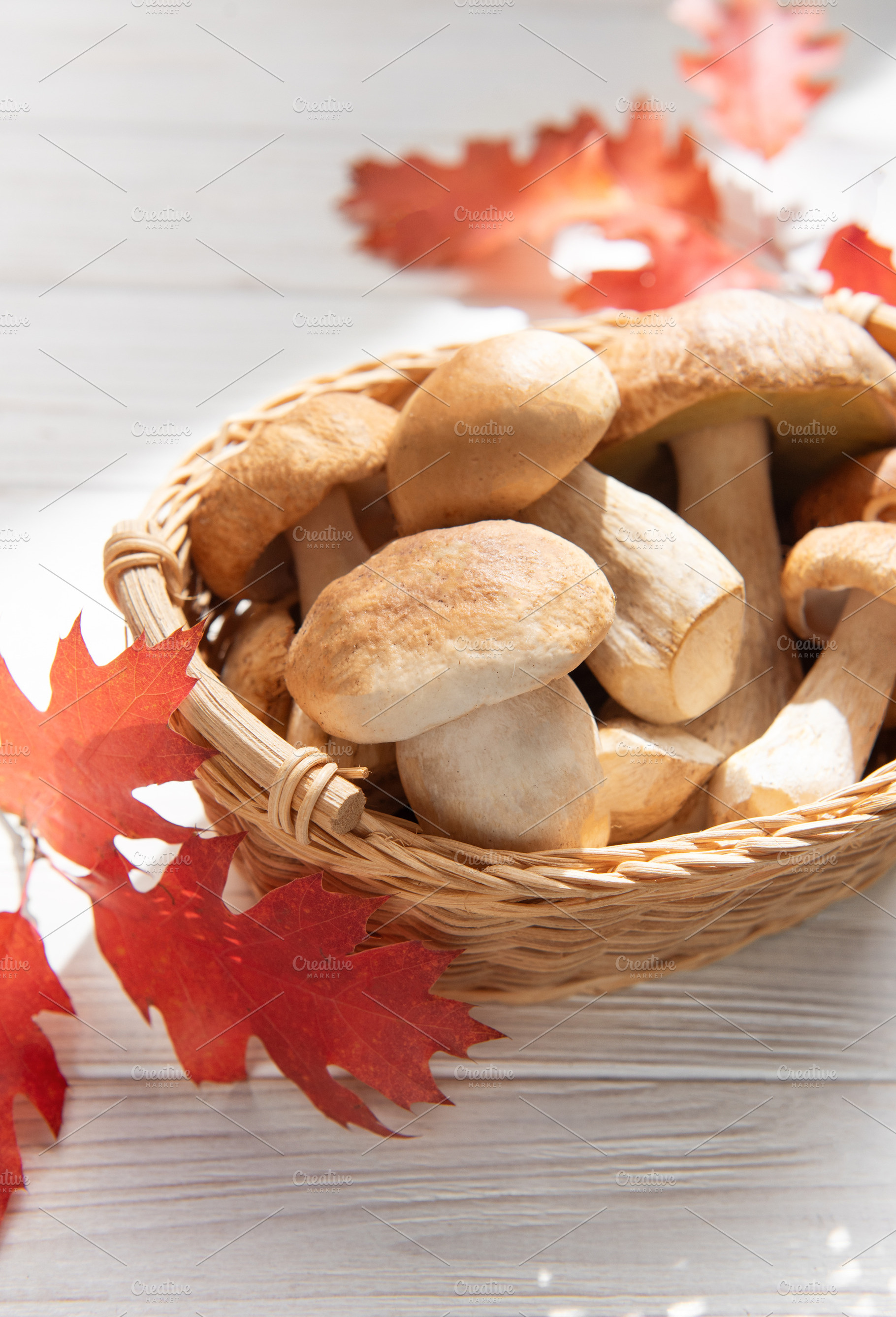 Fresh porcini mushrooms in basket with autumn leaves, a Food & Drink Photo by Olena Rudo