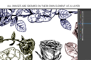 Social democracy roses - vector, a Decorative Illustration by Renée from Studio neetje (Thumbnail 3 of 5)