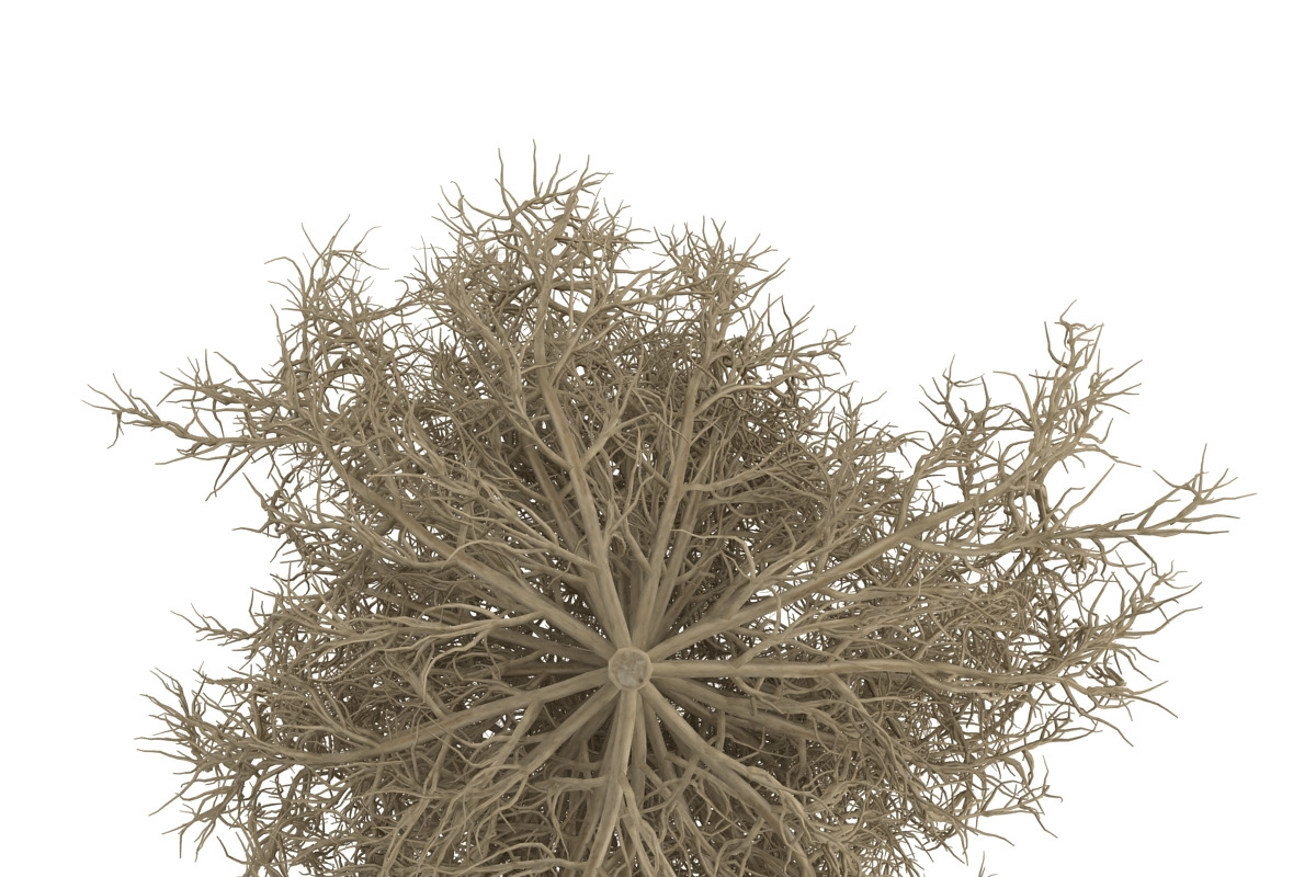 Tumbleweed, an Environmental 3D Model by AndrewWhite (Photo 8 of 9)