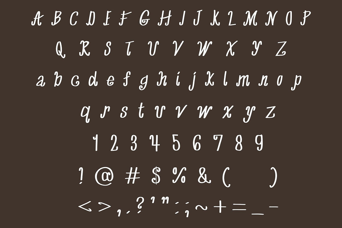 Horseshoe Thick Western Script, a Handwritten Font by Eryn Rose Design (Photo 5 of 11)