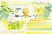 -50% Mimosa & roses flowers, an Illustration by LABFcreations (Thumbnail 8 of 8)