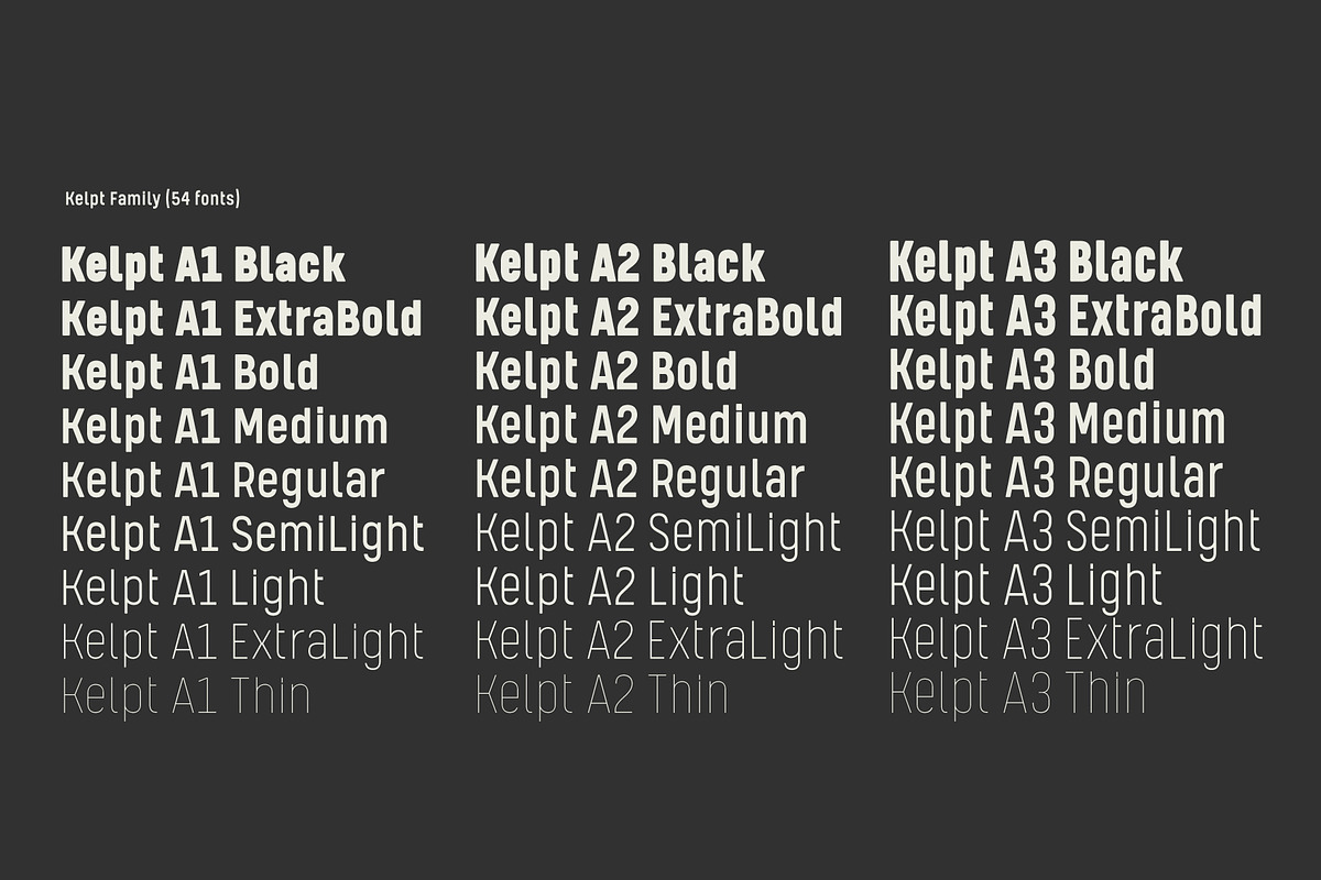 Kelpt, a Sans Serif Font by Typesketchbook Foundry (Photo 5 of 6)