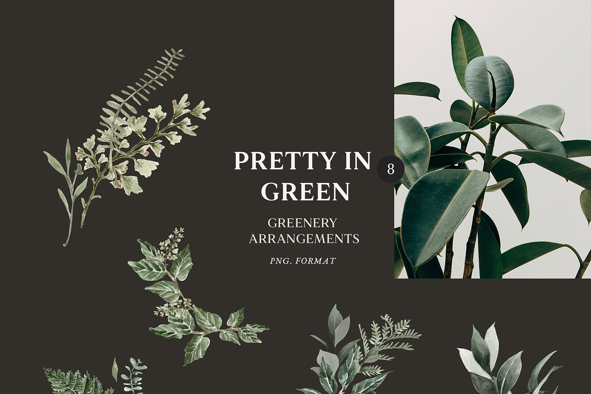 Watercolor greenery foliage set, an Illustration by Grace Noboa Illustrations (Photo 3 of 9)