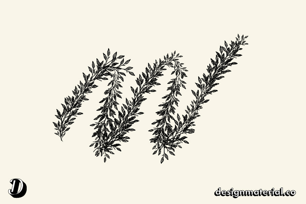 Leaf & Branch Brushes For Procreate, a Brush Add-On by Design Material Co. (Photo 4 of 7)