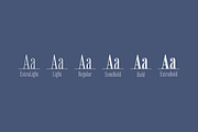 Vincente, a Serif Font by Dharma Type (Thumbnail 3 of 10)