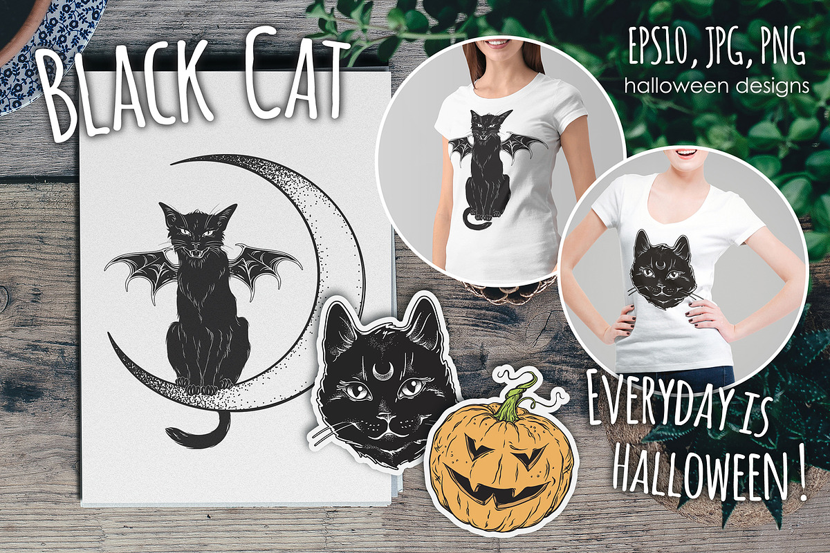 Black Cat, an Animal Illustration by Croisy (Photo 1 of 5)