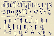 Quaffing Together - Modern Font, a Serif Font by 177Studio (Thumbnail 7 of 8)