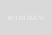 Aveline - Elegant Serif, a Serif Font by Schrifted Type (Thumbnail 8 of 8)