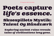 DT Augustina Slab 3 Subfamily, a Slab Serif Font by Deveze Type Foundry (Thumbnail 16 of 31)