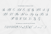 Luxuryone Calligraphy, a Script Font by RockboyStd (Thumbnail 8 of 12)