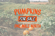 Brush Box - By Milk and Searle, a Handwritten Font by Milk and Searle (Thumbnail 3 of 5)